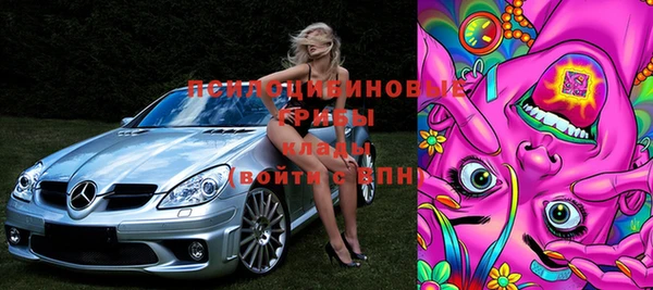 ГАЛЛЮЦИНОГЕННЫЕ ГРИБЫ Арсеньев