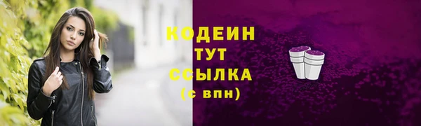 ГАЛЛЮЦИНОГЕННЫЕ ГРИБЫ Арсеньев