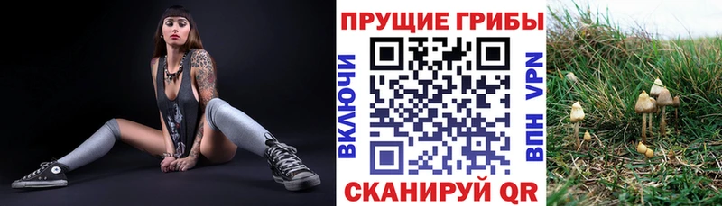 Галлюциногенные грибы прущие грибы  ОМГ ОМГ вход  Пролетарск 